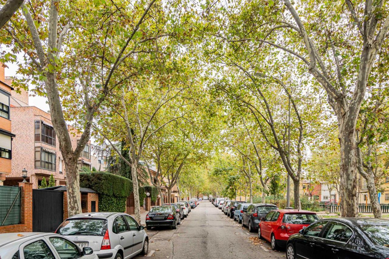 For Temporal 3 Heights Linear Mis57 Apartment Madrid